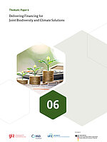 Cover giz iisd ufz financing biodiversitxy climate solutions